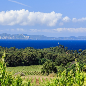 View overlooking the Domaine de la Sangliere Winery with Mediterranean Sea in the background
